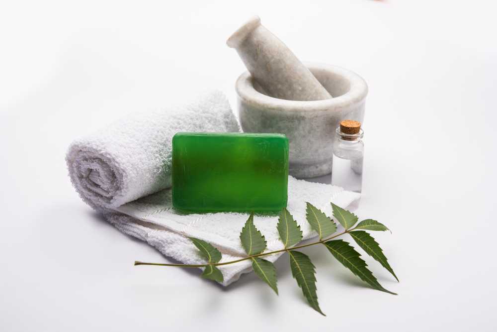 Ayurvedic Soap Image