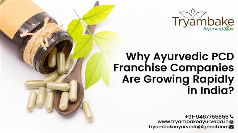 Ayurvedic PCd Franchise Companies