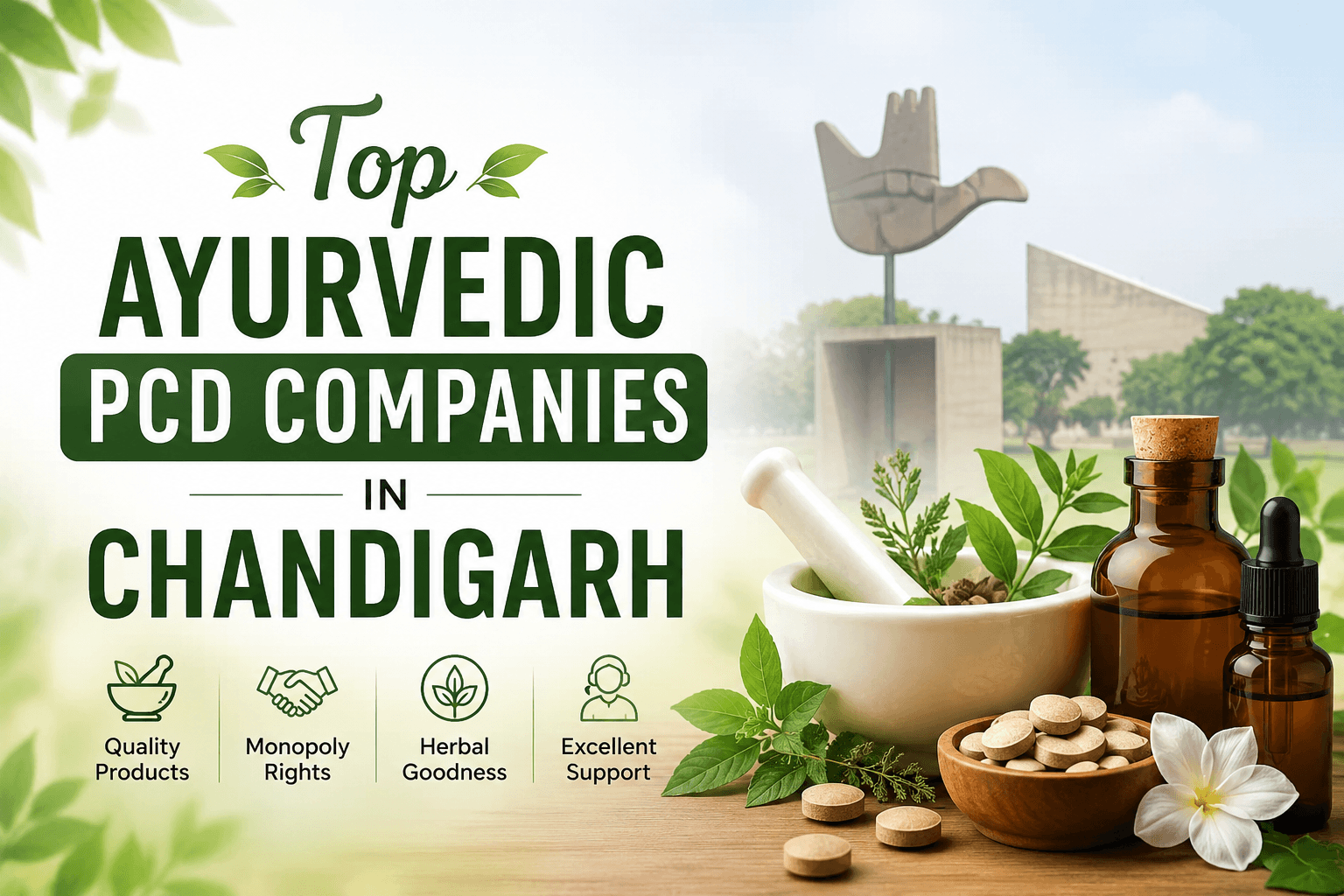 Top Ayurvedic PCD Companies in Chandigarh