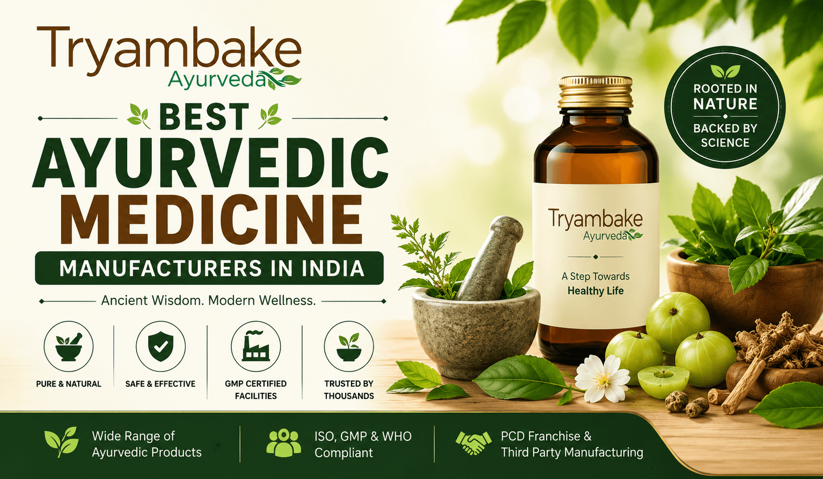 Best Ayurvedic Medicine Manufacturers in India
