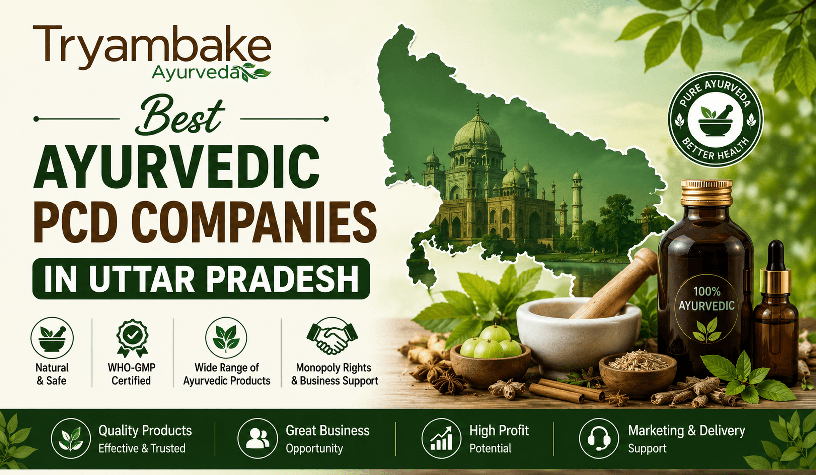 Best Ayurvedic PCD Companies In Uttar Pradesh